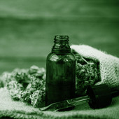Integrare il CBD nella routine di bellezza quotidiana