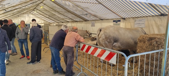 Cavour Carne cambia pelle e si trasforma in ‘Terre e Cibo’