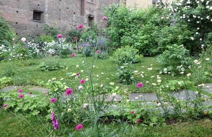 Palazzo Madama, torna la scuola di verde: al via due nuovi corsi di botanica e giardinaggio Palazzo Madama, torna la scuola di verde: al via due nuovi corsi di botanica e giardinaggio