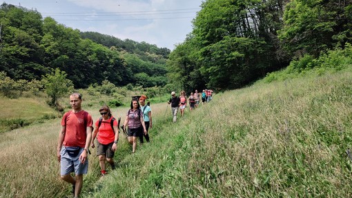 Rivoli si tinge di verde con due eventi immersivi nella natura