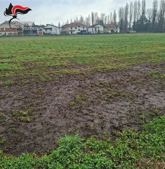 Intervento dei Carabinieri Forestali a La Loggia