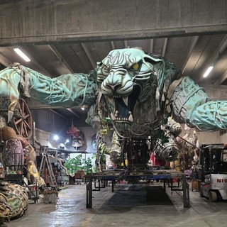 La tigre durante i lavori di preparazione nel capannone di Gemerello