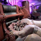 Foto Federico Gorgoglione