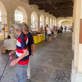Cavour progetta un apiario didattico permanente con Alveare