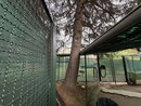 L'albero appoggiato sul centro d'incontro L'albero appoggiato sul centro d'incontro