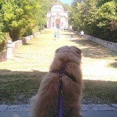 Immagine di repertorio