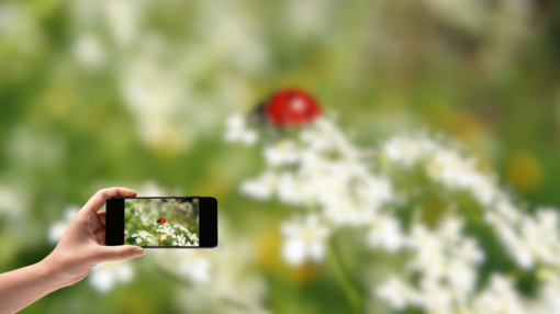 Il Museo Regionale di Scienze Naturali di Torino coordina il progetto locale