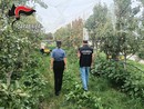 Pinerolese, controlli nelle aziende agricole Pinerolese, controlli nelle aziende agricole