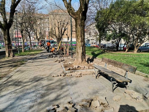 Cantieri in corso in via Belli