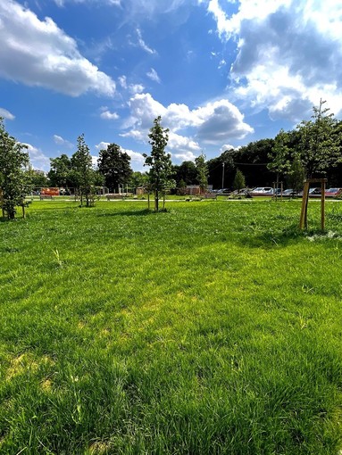 Al via il taglio dell'erba a Chieri