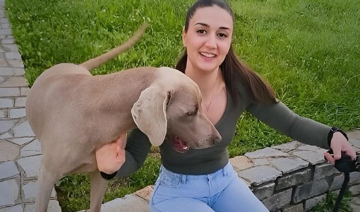 Angelica Viotto Angelica Viotto