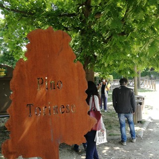 Concorso dedicato a Pino Torinese