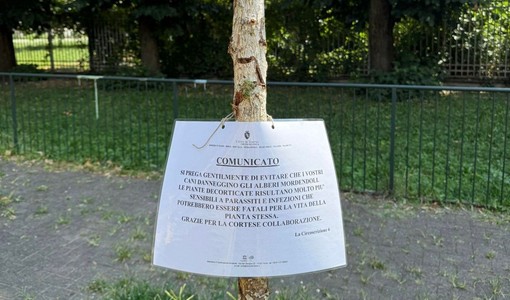 I cartelli messi dall'amministrazione