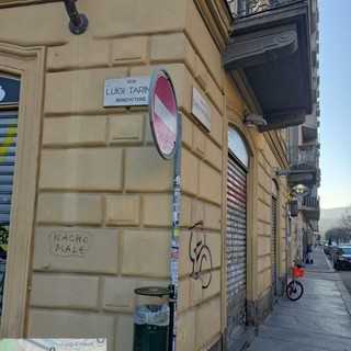 Cestini anti corvo a Vanchiglia