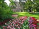 Messer Tulipano, tutti gli appuntamenti del weekend e del 1° maggio