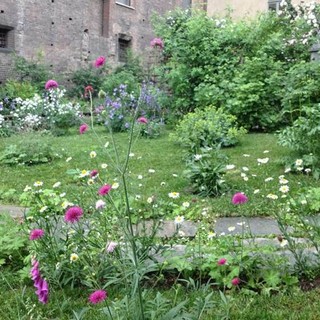 Palazzo Madama, torna la scuola di verde: al via due nuovi corsi di botanica e giardinaggio