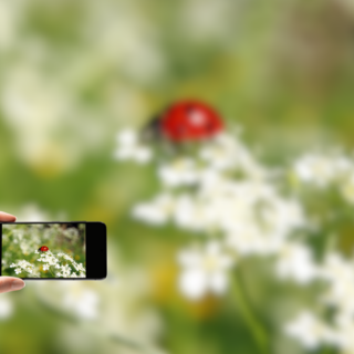 Il Museo Regionale di Scienze Naturali di Torino coordina il progetto locale