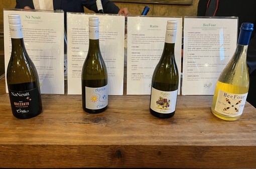 La cantina Ceste, con l’obiettivo della sostenibilità, lancia i vini Piwi in Piemonte