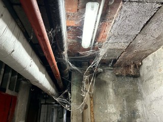 I timori degli inquilini di via Bologna I timori degli inquilini di via Bologna