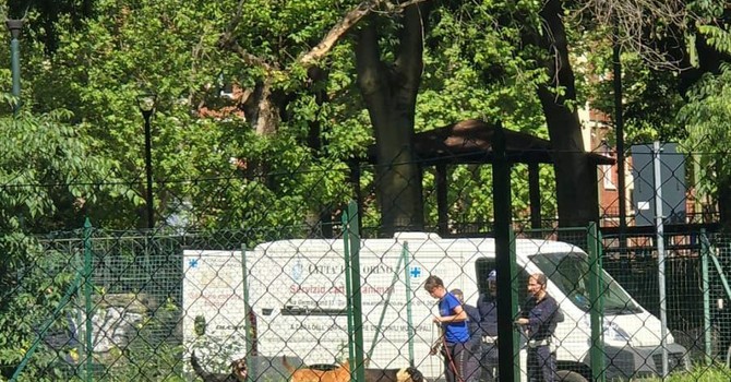 L'intervento di recupero dei cani L'intervento di recupero dei cani