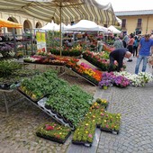 Alla scoperta di fiori e del centro storico per un fine settimana ai piedi della Rocca