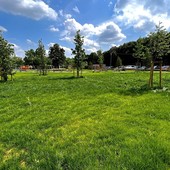 Al via il taglio dell'erba a Chieri Al via il taglio dell'erba a Chieri