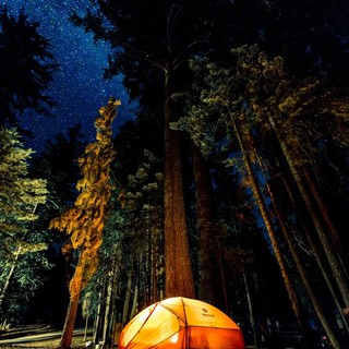 Tra natura e relax: scopri come andare in vacanza in camping
