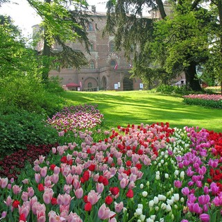 Primavera e tulipani, prosegue l'appuntamento a Pralormo con Messer Tulipano