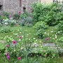 Palazzo Madama, torna la scuola di verde: al via due nuovi corsi di botanica e giardinaggio Palazzo Madama, torna la scuola di verde: al via due nuovi corsi di botanica e giardinaggio