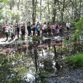 (Foto di repertorio)