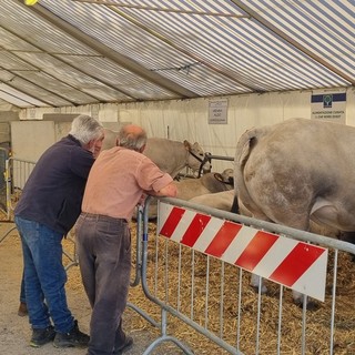 Cavour Carne cambia pelle e si trasforma in ‘Terre e Cibo’
