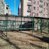 La colonia felina della Tesoriera La colonia felina della Tesoriera