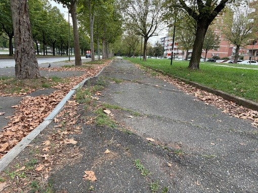 Torino Cambia: approvato il progetto per l'riasfaltatura di strade, piazze, marciapiedi