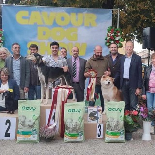 Cavour Dog Show: arriva la terza edizione