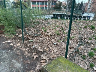 Le condizioni del campo da basket Le condizioni del campo da basket