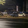 Il ramo caduto davanti alle Molinette