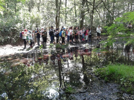 (Foto di repertorio)