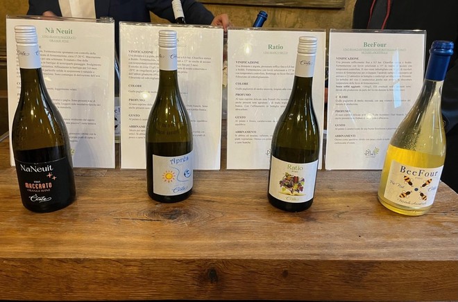 La cantina Ceste, con l’obiettivo della sostenibilità, lancia i vini Piwi in Piemonte