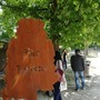 Concorso dedicato a Pino Torinese