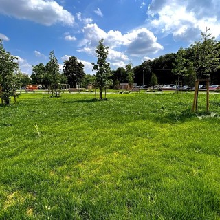 Al via il taglio dell'erba a Chieri