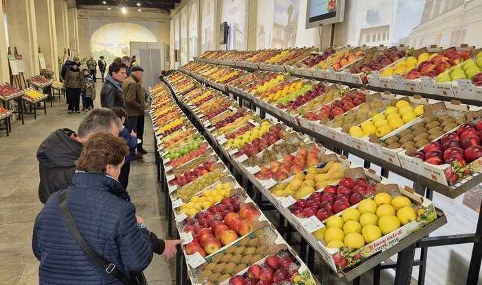 Cresce l’area espositiva delle macchine agricole e arrivano gli ospiti dai Sibillini per il nuovo Tuttomele Cresce l’area espositiva delle macchine agricole e arrivano gli ospiti dai Sibillini per il nuovo Tuttomele