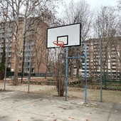 La maggioranza dice no alla mozione M5S sui giovani del parco Anselmi La maggioranza dice no alla mozione M5S sui giovani del parco Anselmi