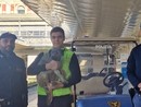 Un cane smarrito rischia di finire sui binari del treno a Porta Nuova: la polizia interviene e lo salva
