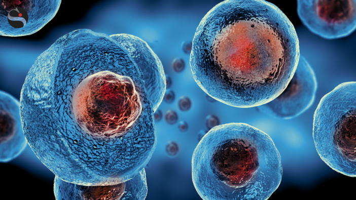 Studio dell'Università di Torino consente di scoprire il “conservante” delle cellule staminali umane