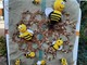 Cavour diventa la grande casa delle api