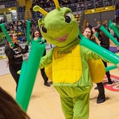 Successo di pubblico per il Disfestival 2025 Successo di pubblico per il Disfestival 2025