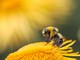 Foto di Dmitry Grigoriev - tramite Unsplash