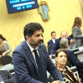 Il consigliere regionale PD Domenico Rossi