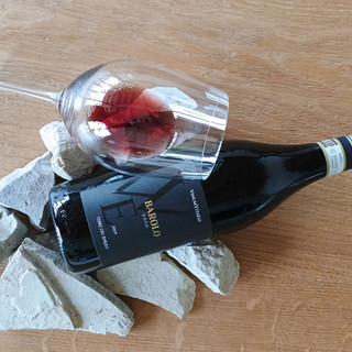 Terre del Barolo: la degustazione di vini Barolo per tutti, a due passi dalla storia