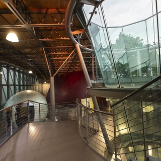 Dal bosco al cielo Infini.to: planetario di Torino propone una passeggiata sostenibile verso le stelle
